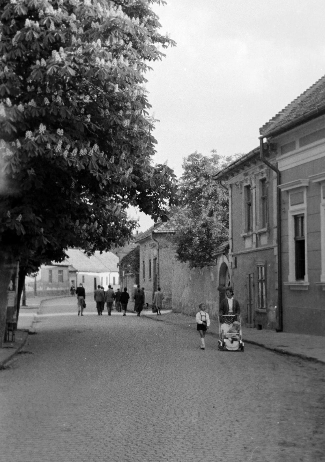 1960, Petrók Károly, Fortepan #312162