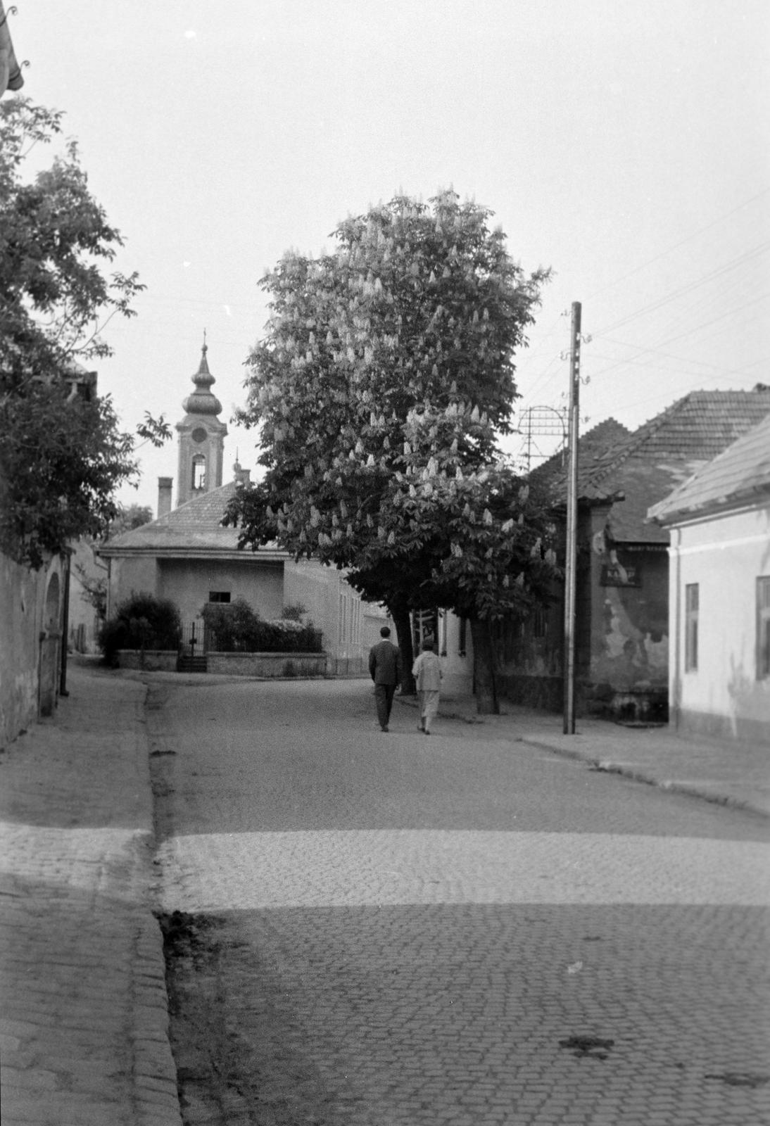 1960, Petrók Károly, Fortepan #312163