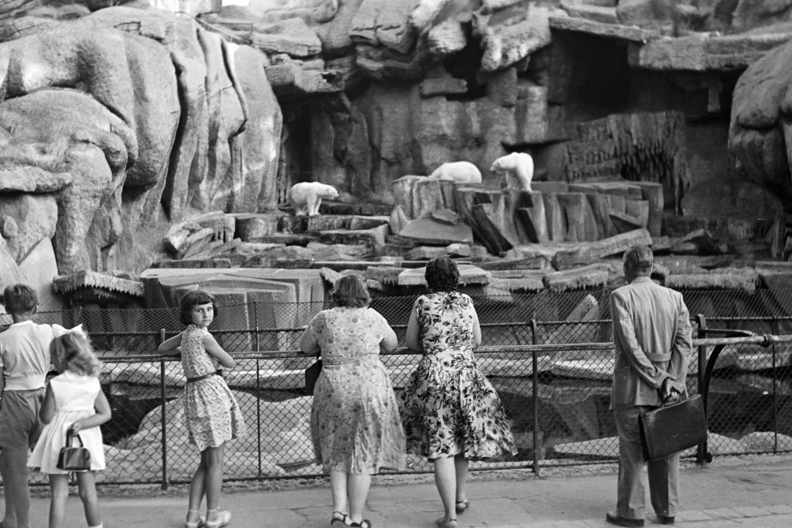 1958, Petrók Károly, Fortepan #312173