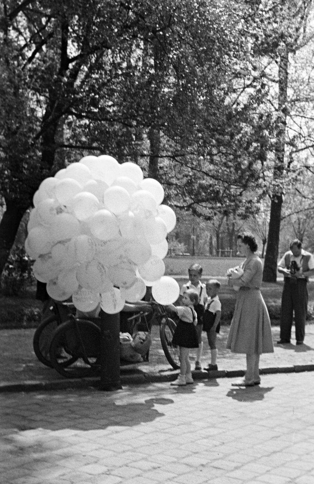 1958, Petrók Károly, Fortepan #312177