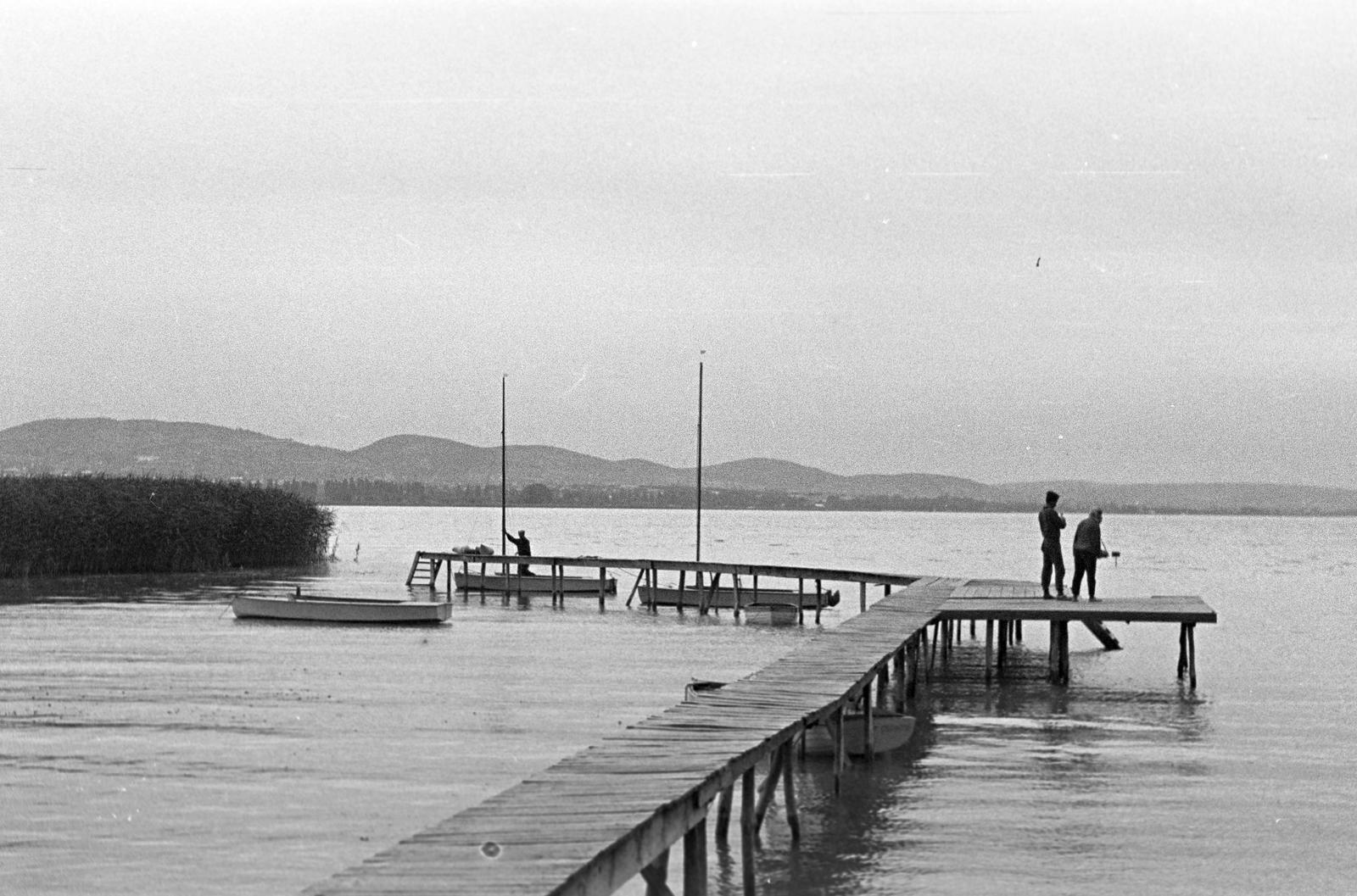 1952, Petrók Károly, Fortepan #312180