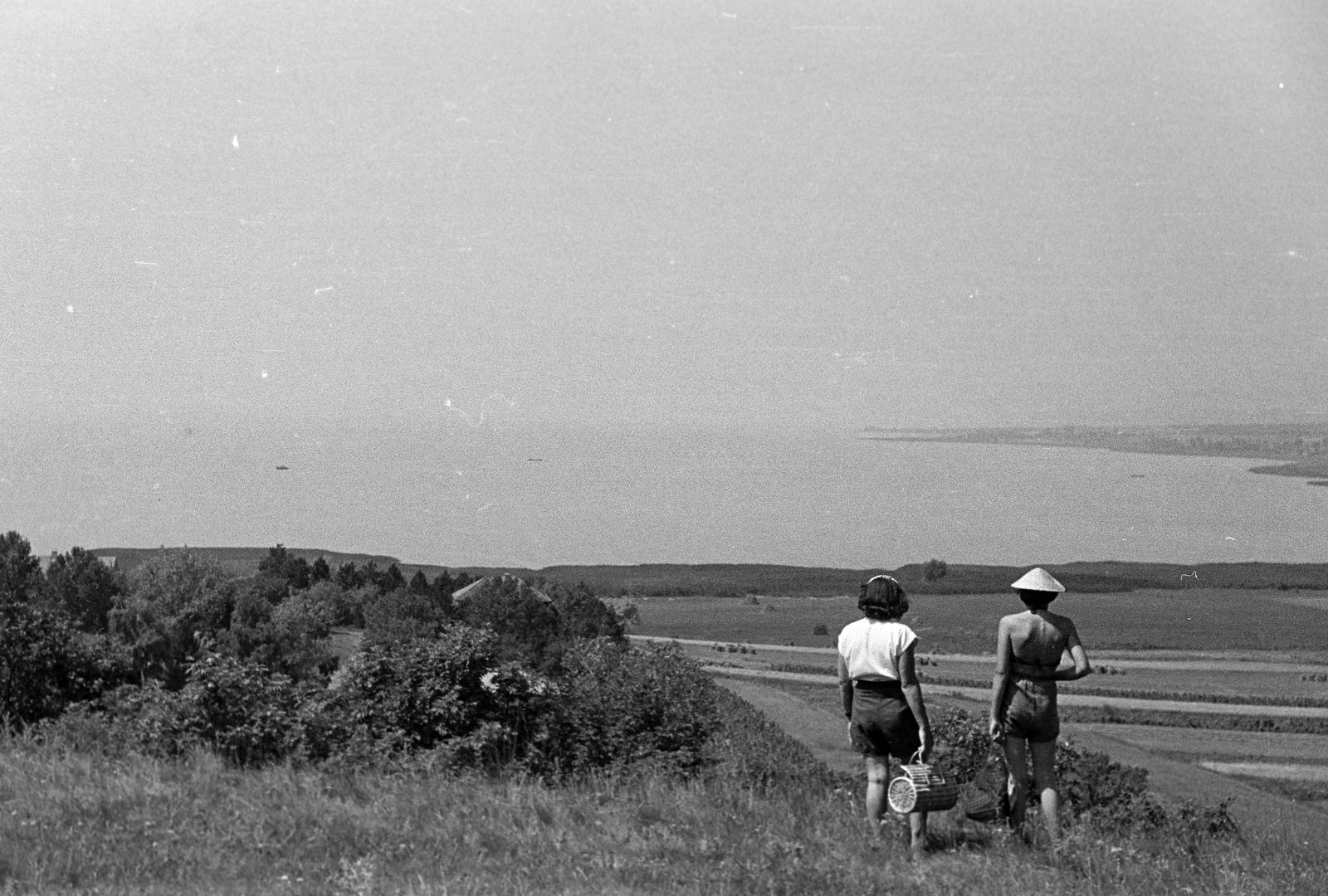 1952, Petrók Károly, Fortepan #312188