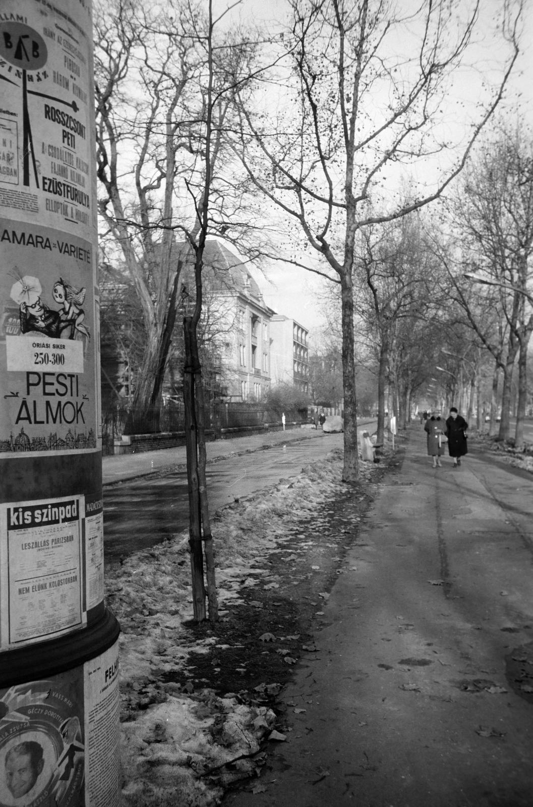 1962, Petrók Károly, Fortepan #312215