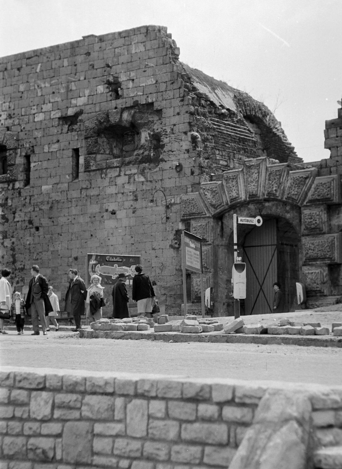 1965, Petrók Károly, Fortepan #312218