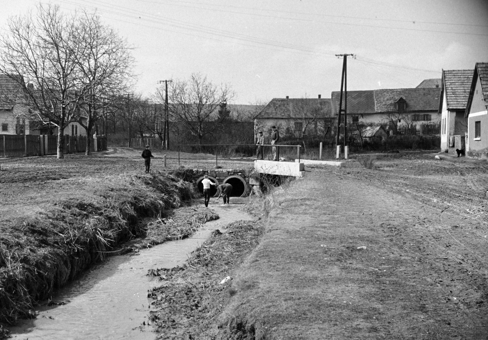 1961, Petrók Károly, Fortepan #312221