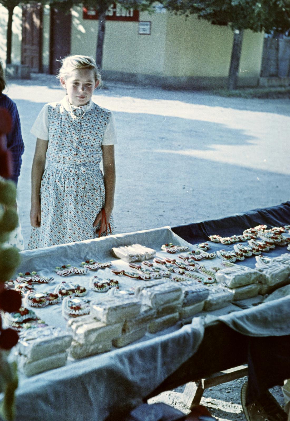 1959, Petrók Károly, Fortepan #312228