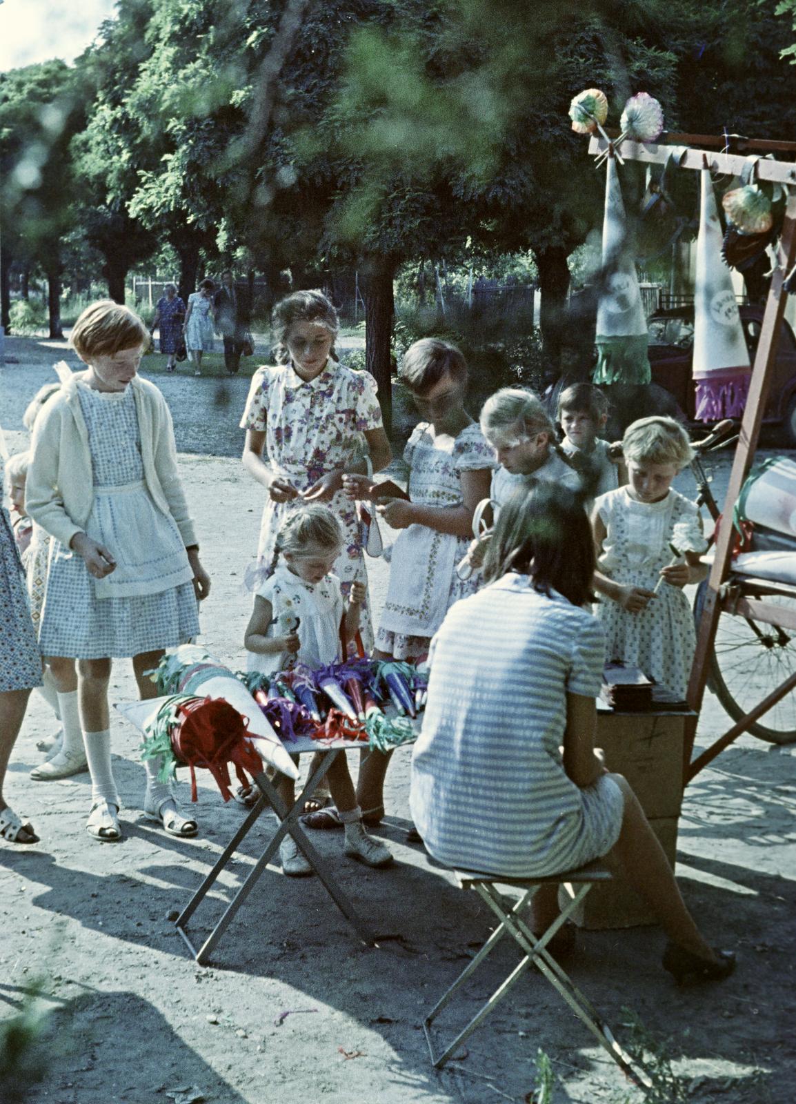 1959, Petrók Károly, Fortepan #312229