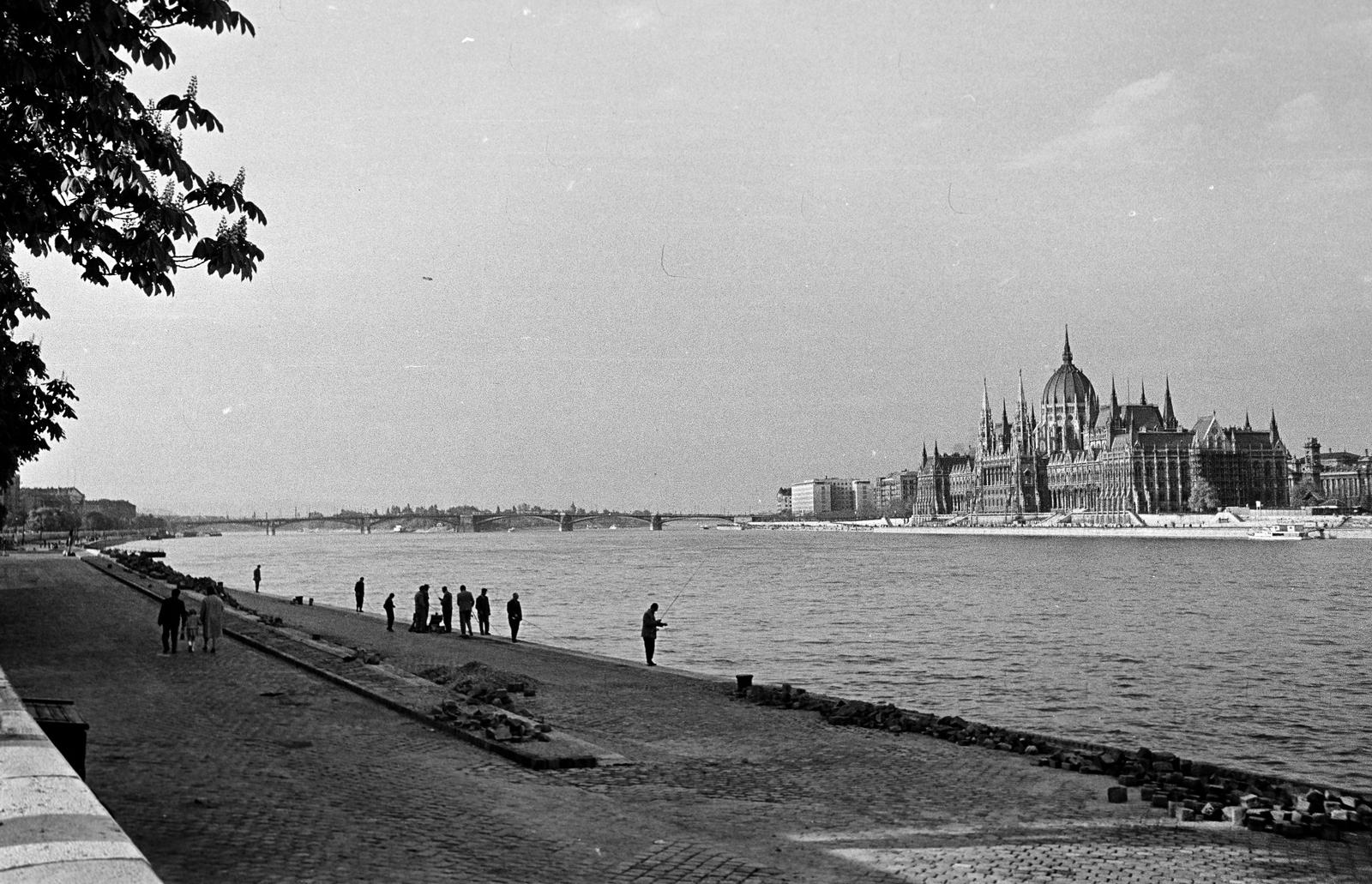 1961, Petrók Károly, Fortepan #312234