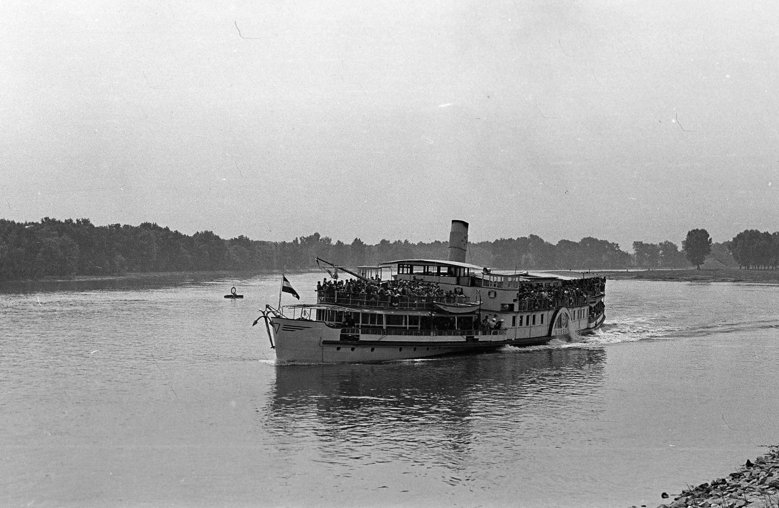 1961, Petrók Károly, Fortepan #312235