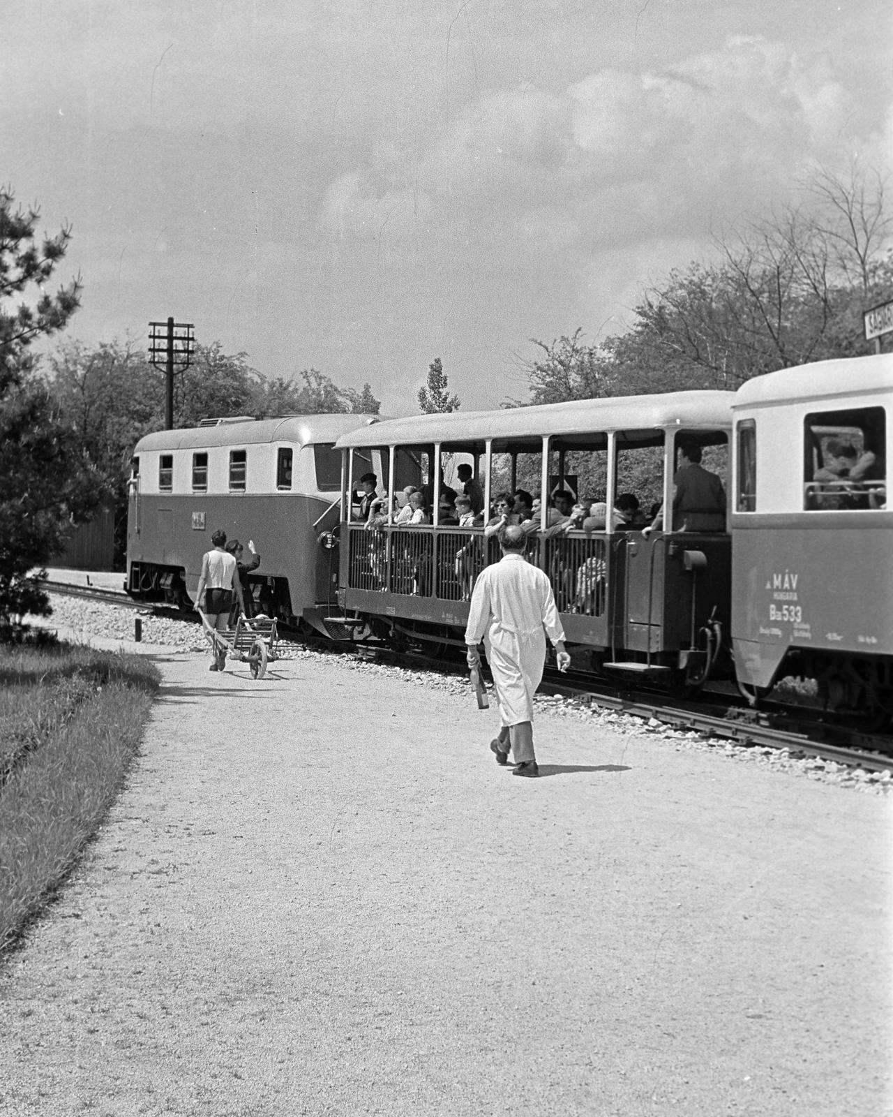 1961, Petrók Károly, Gyermekvasút, Fortepan #312237