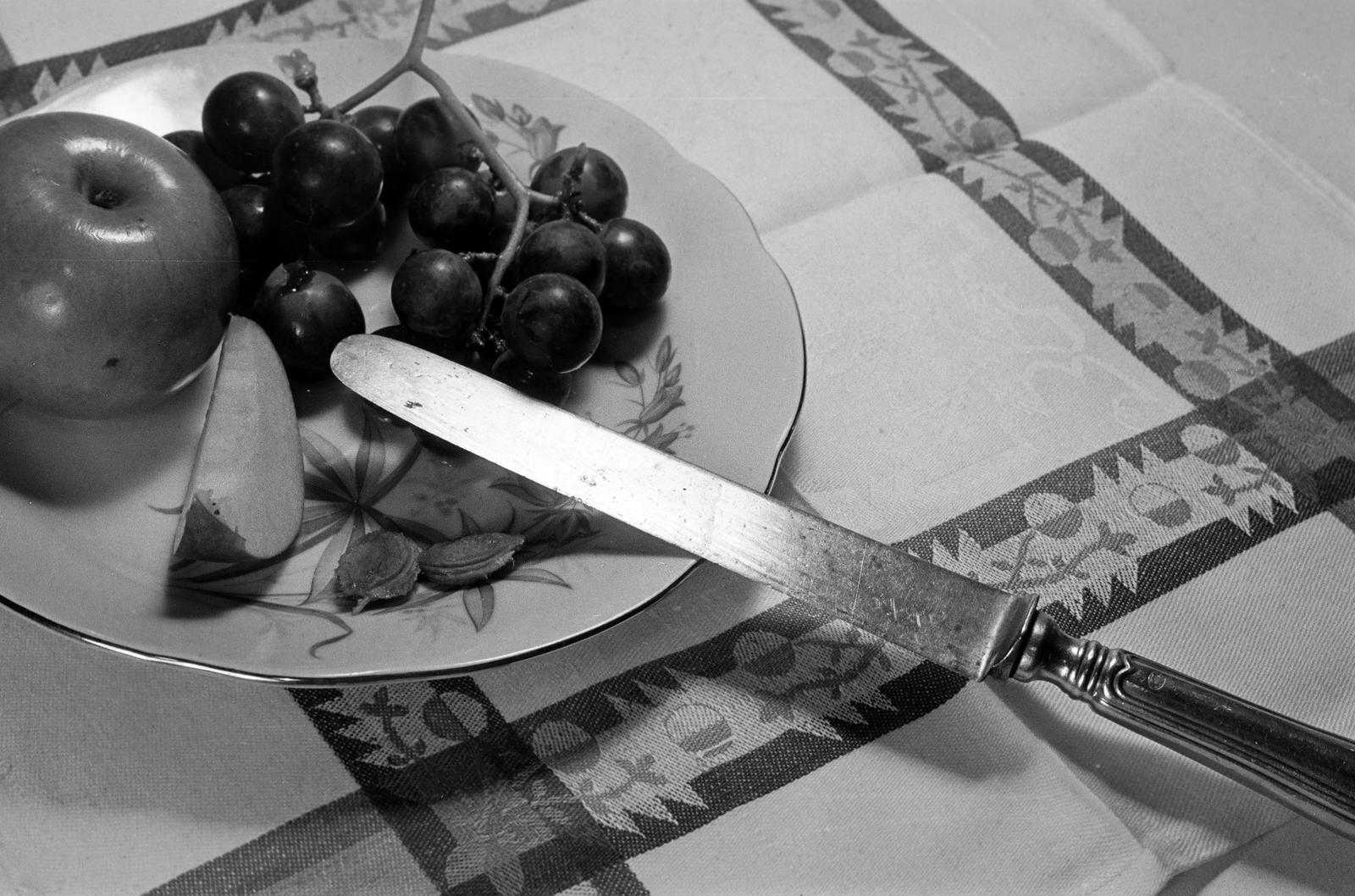 1961, Petrók Károly, Fortepan #312239