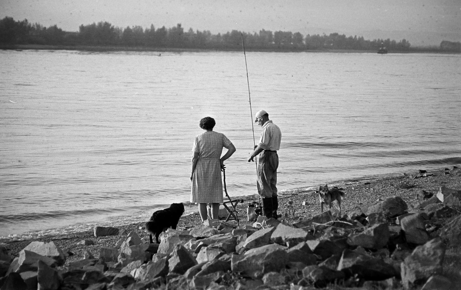 1961, Petrók Károly, Fortepan #312240