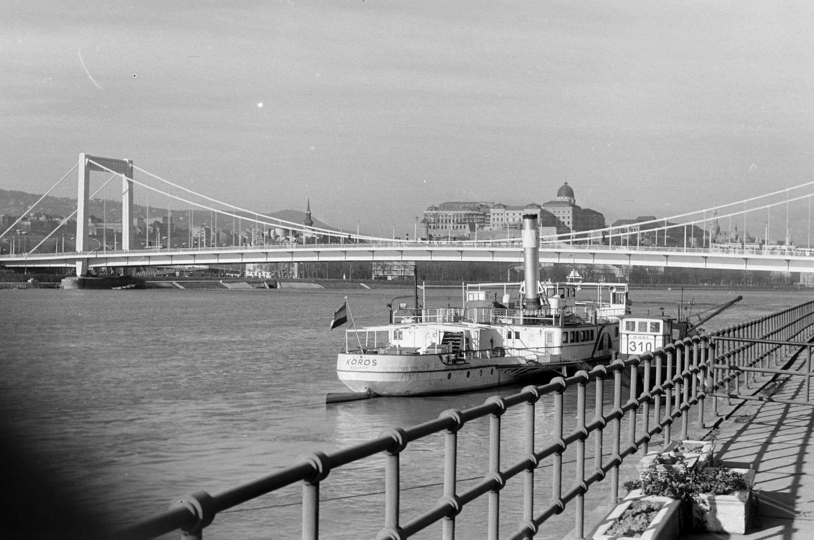 1964, Petrók Károly, Fortepan #312248