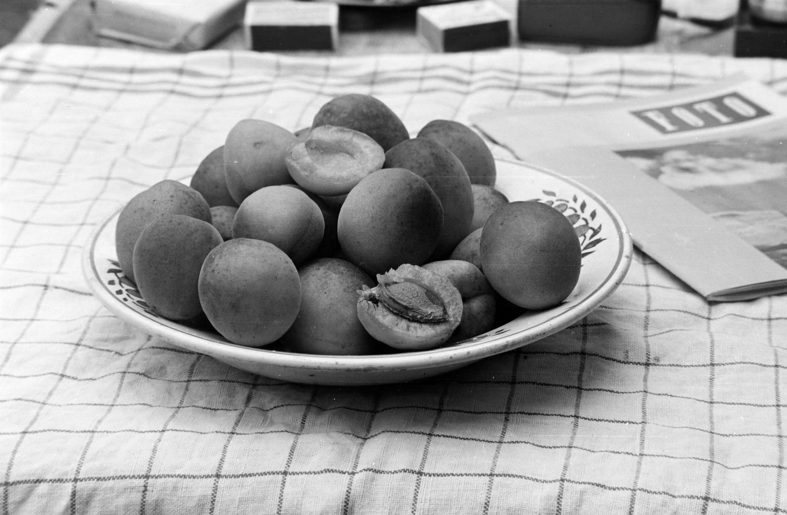 1964, Petrók Károly, Fortepan #312250