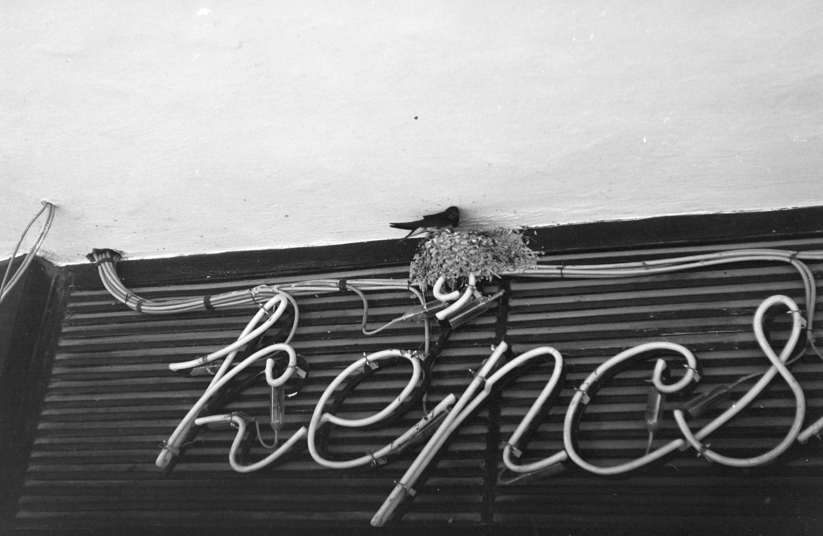 1960, Petrók Károly, Fortepan #312256