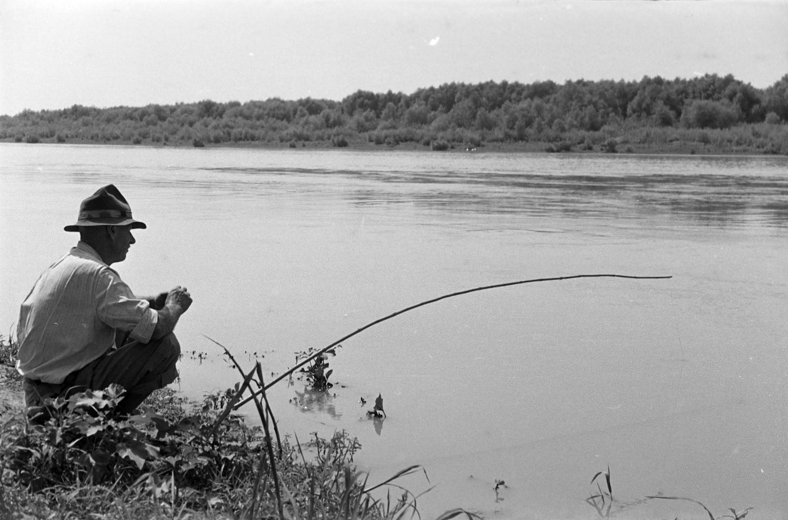1955, Petrók Károly, Fortepan #312260