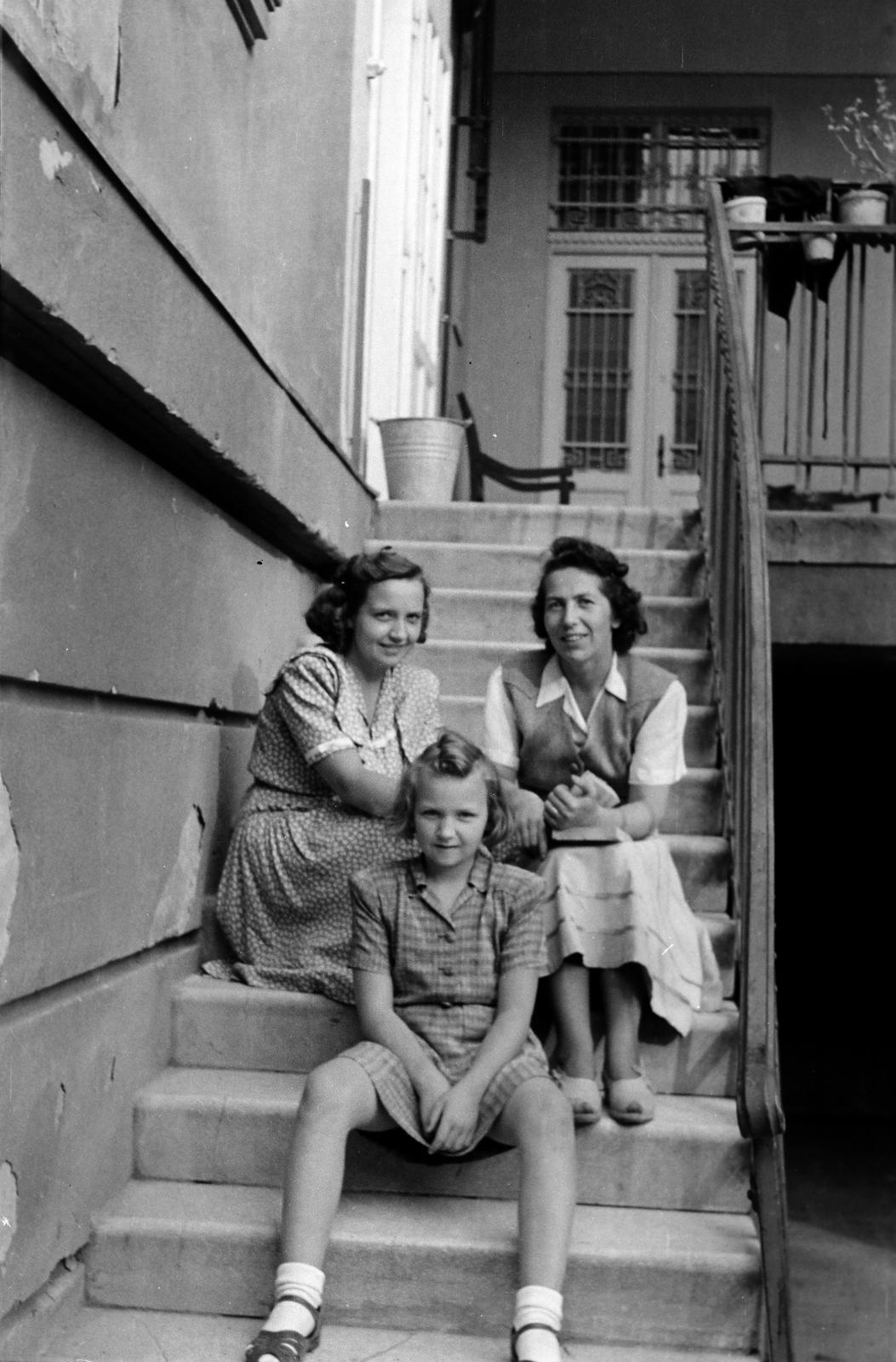 1955, Petrók Károly, Fortepan #312266