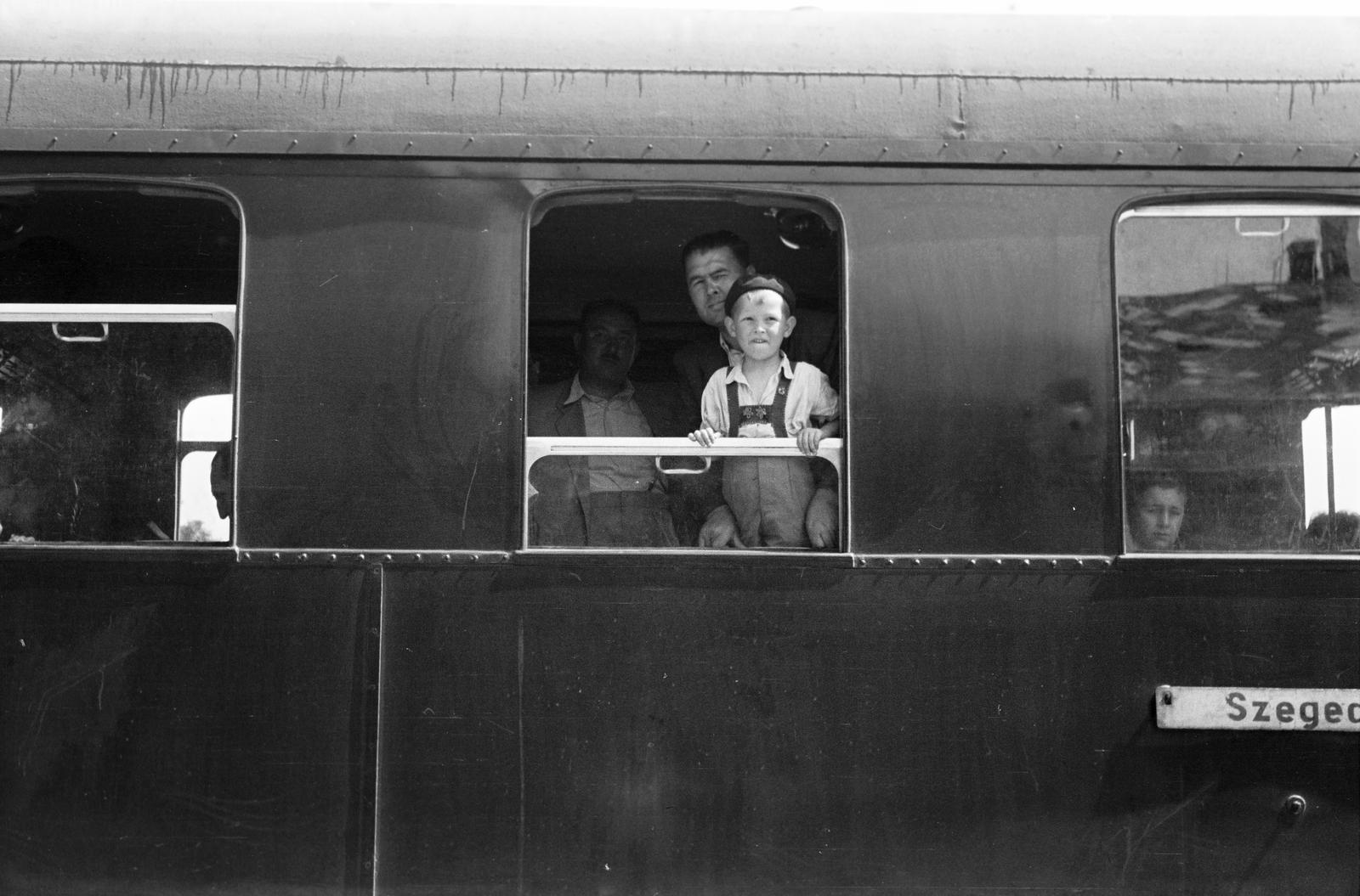 1949, Petrók Károly, Fortepan #312275