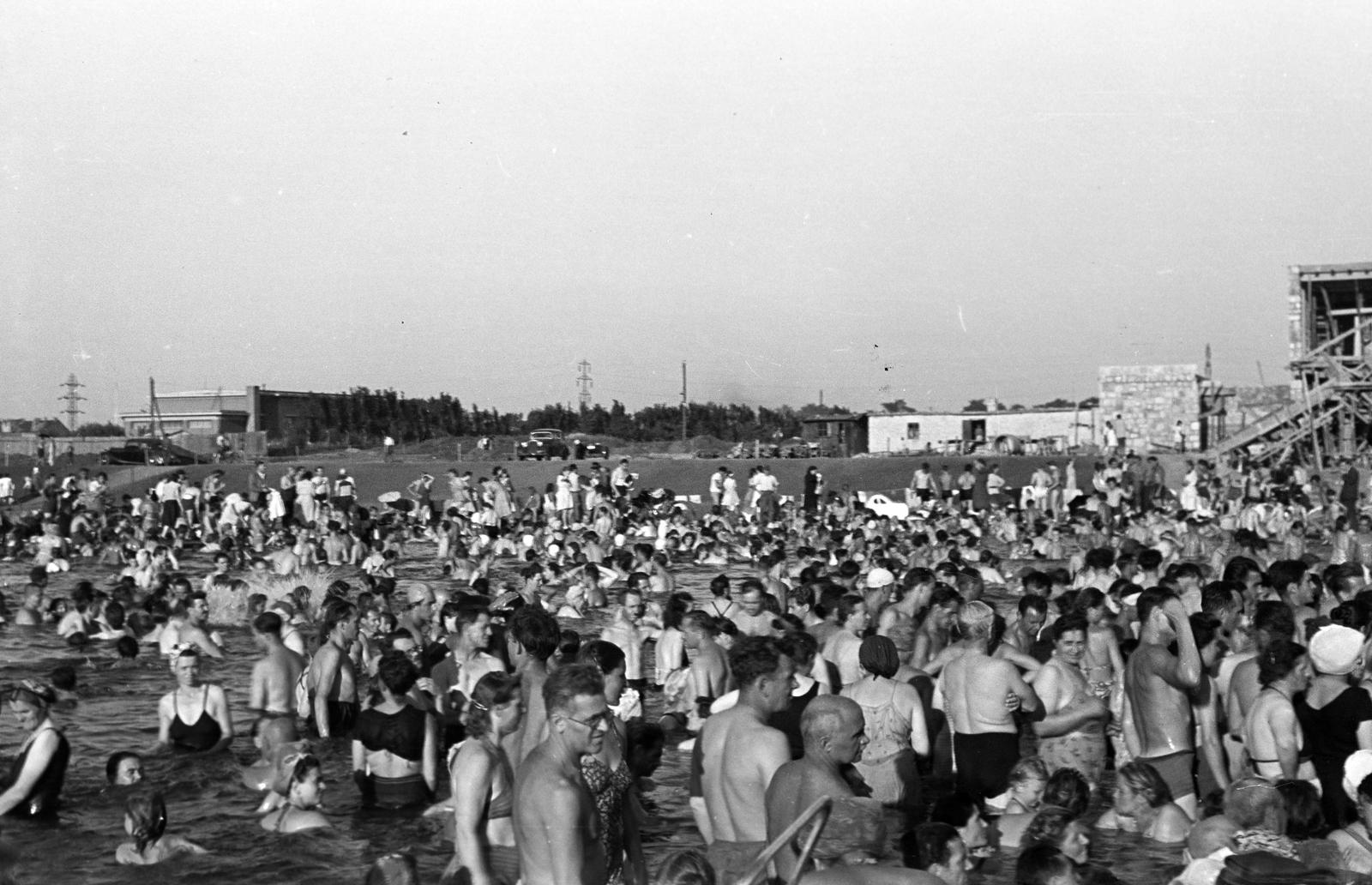 1950, Petrók Károly, Fortepan #312279