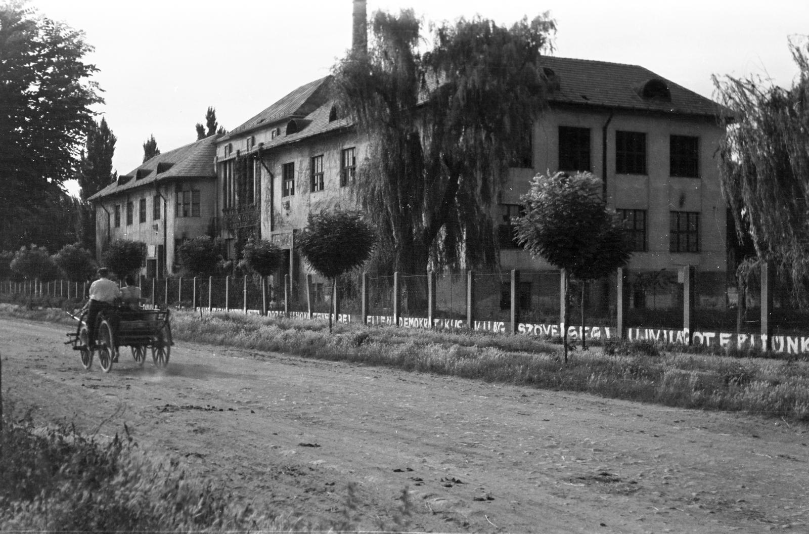 1951, Petrók Károly, Fortepan #312282