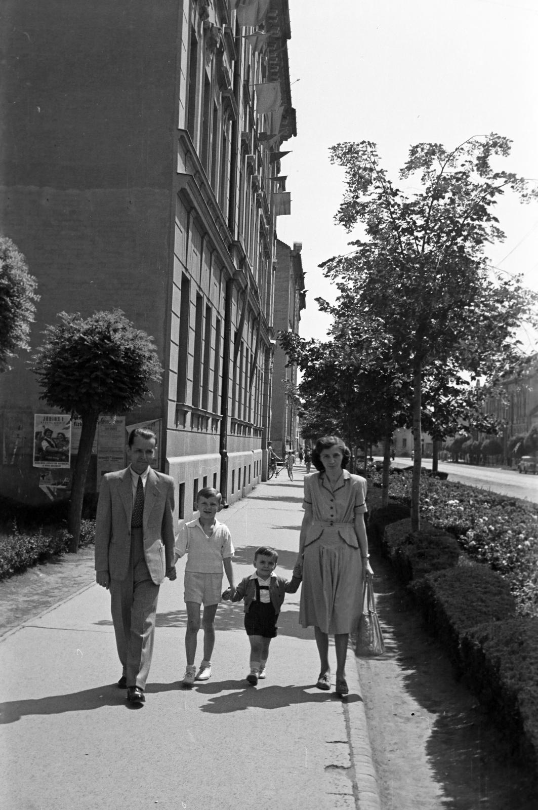 1951, Petrók Károly, Fortepan #312290