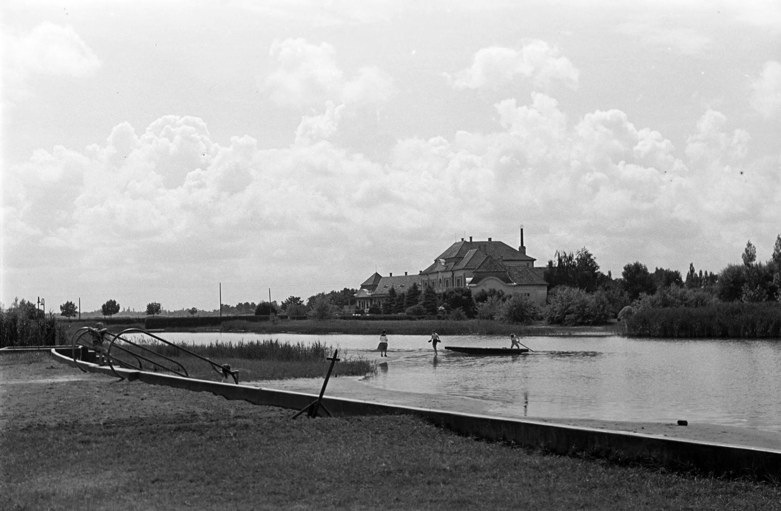 1953, Petrók Károly, Fortepan #312296