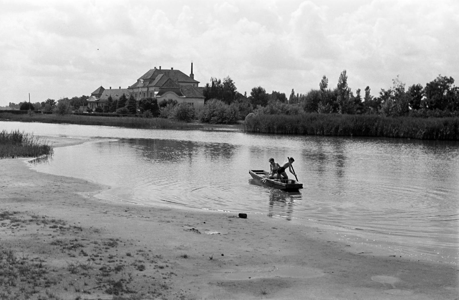 1953, Petrók Károly, Fortepan #312297