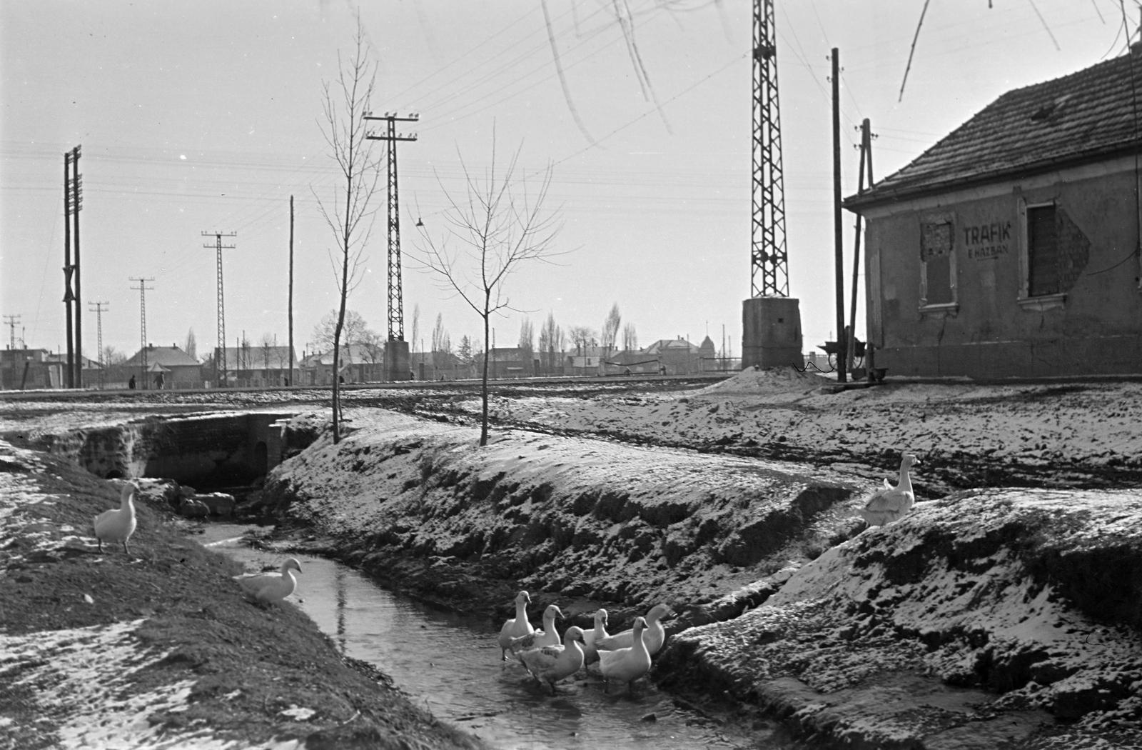 1953, Petrók Károly, Fortepan #312305