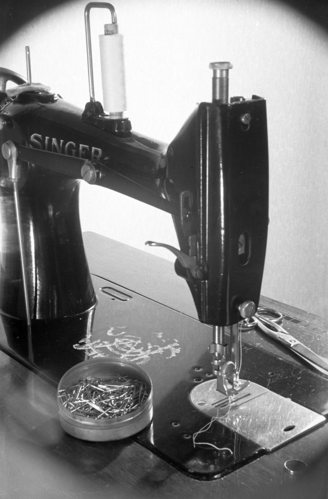 1950, Petrók Károly, Fortepan #312313