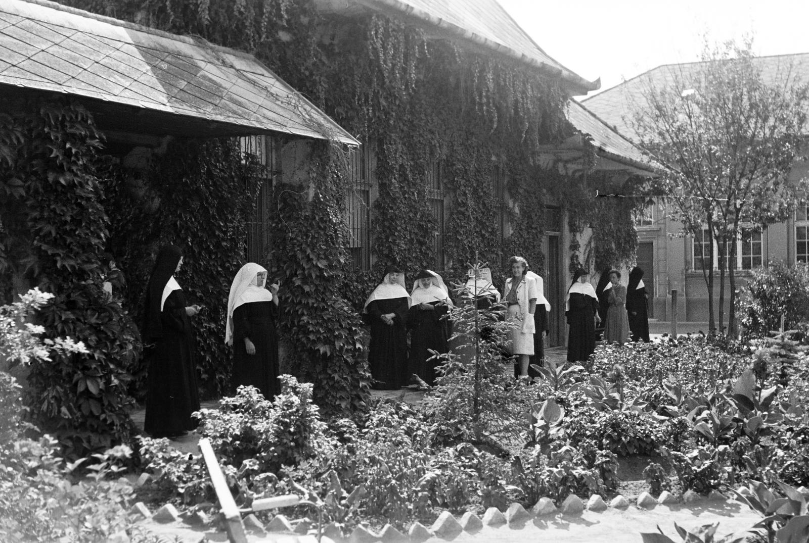 1948, Petrók Károly, Fortepan #312321