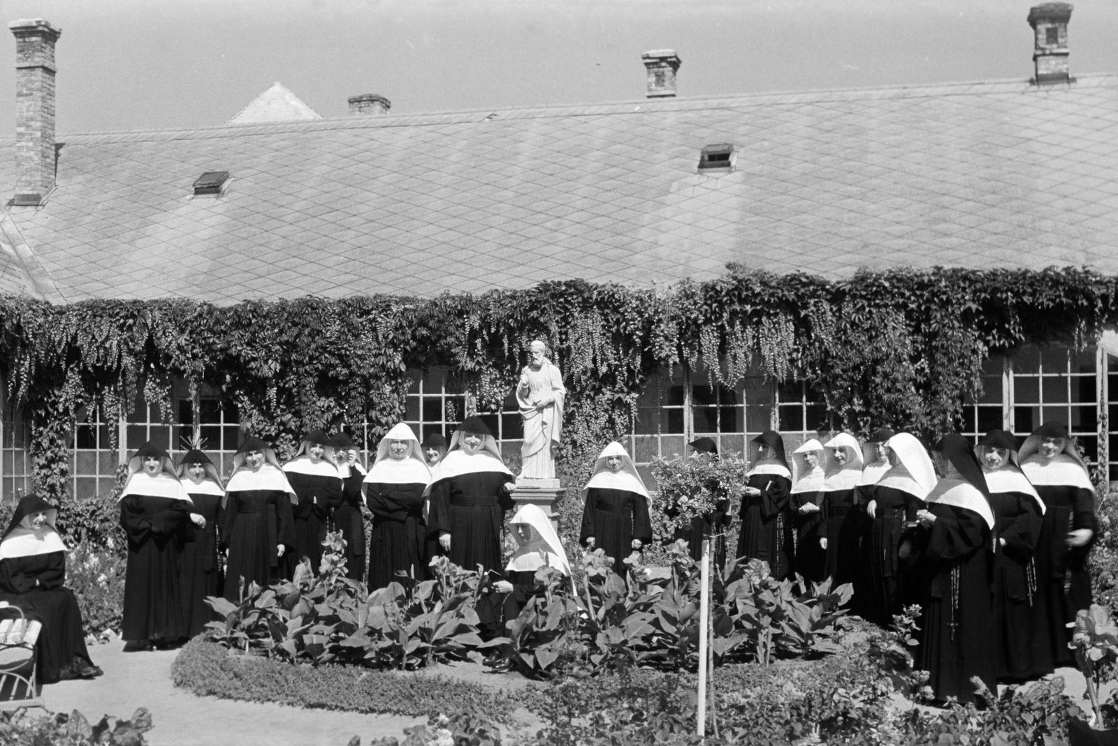 1948, Petrók Károly, Fortepan #312322