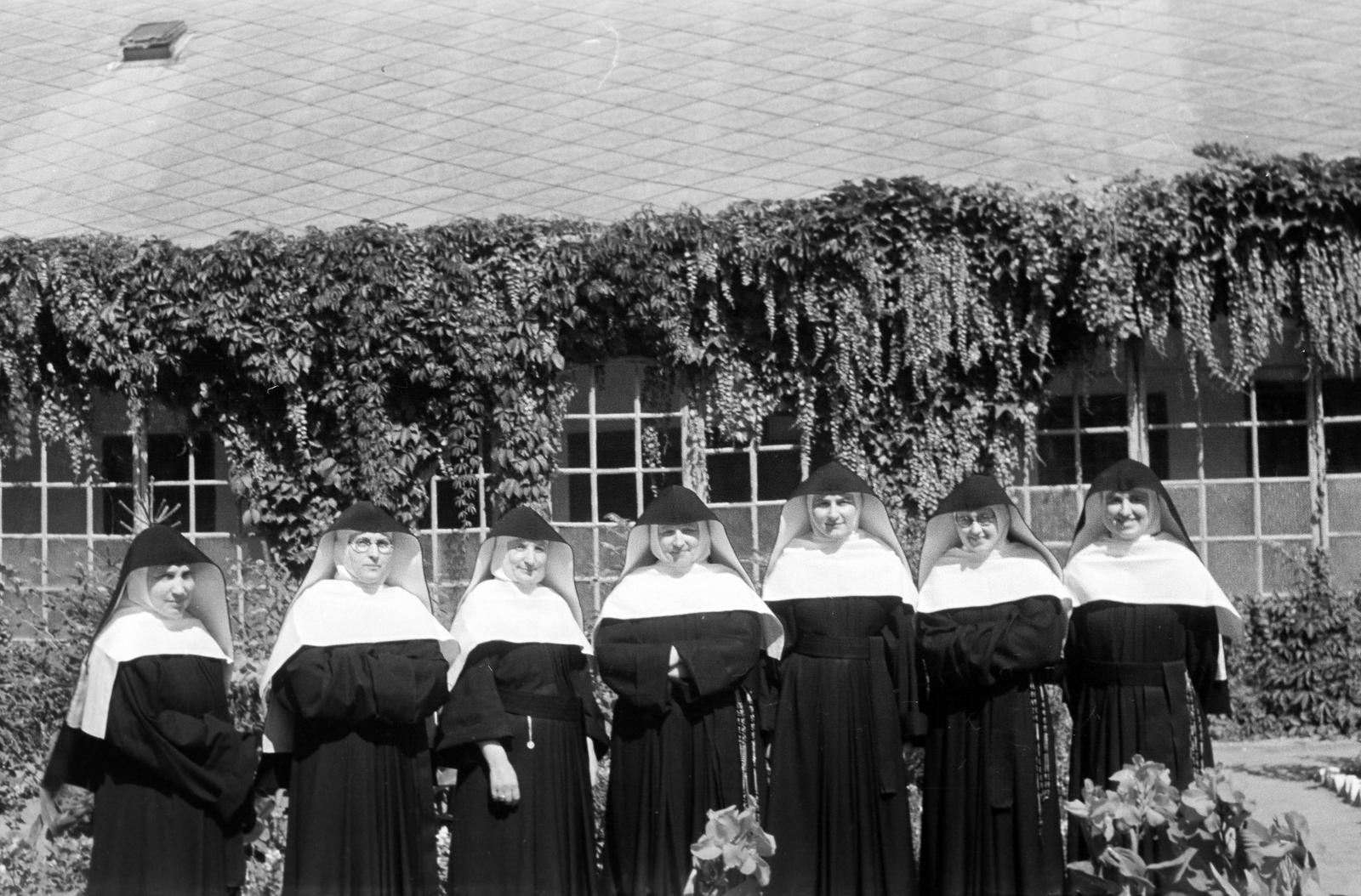 1948, Petrók Károly, Fortepan #312323