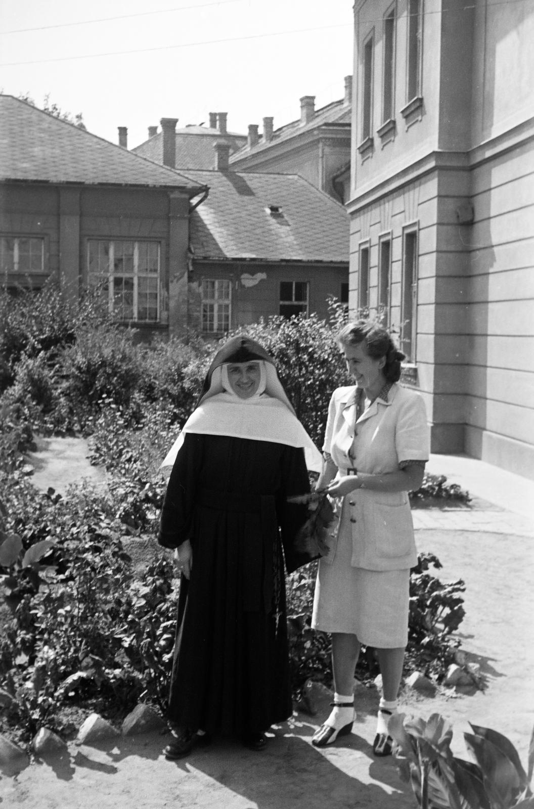 1948, Petrók Károly, Fortepan #312324