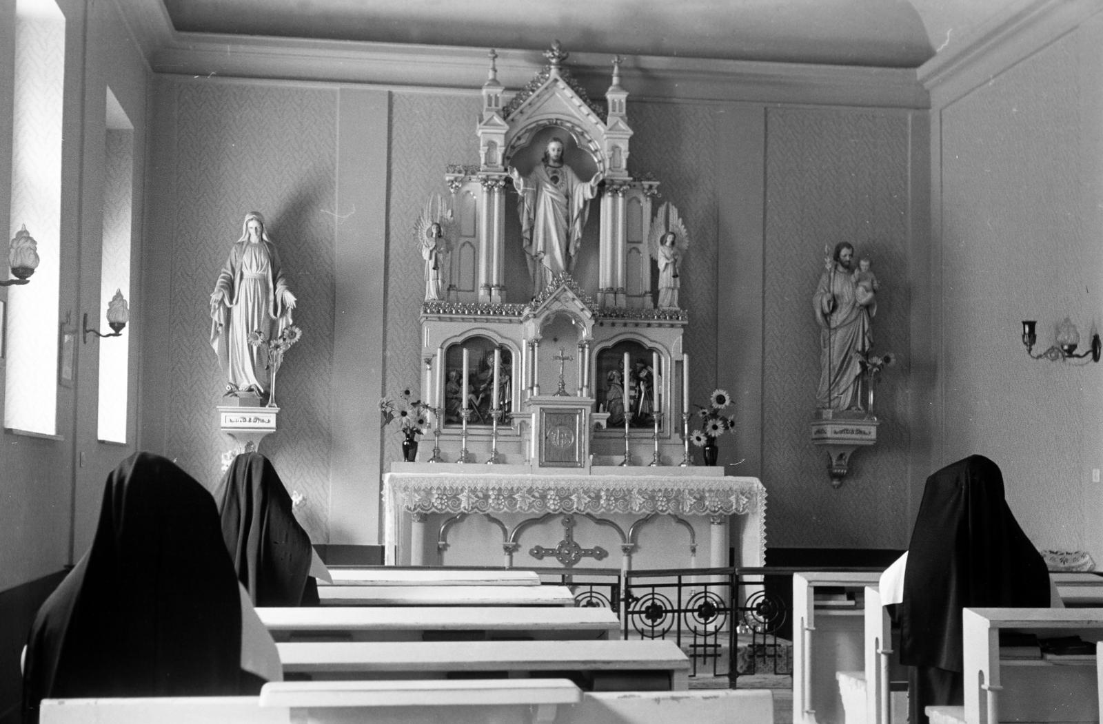 1948, Petrók Károly, Fortepan #312326