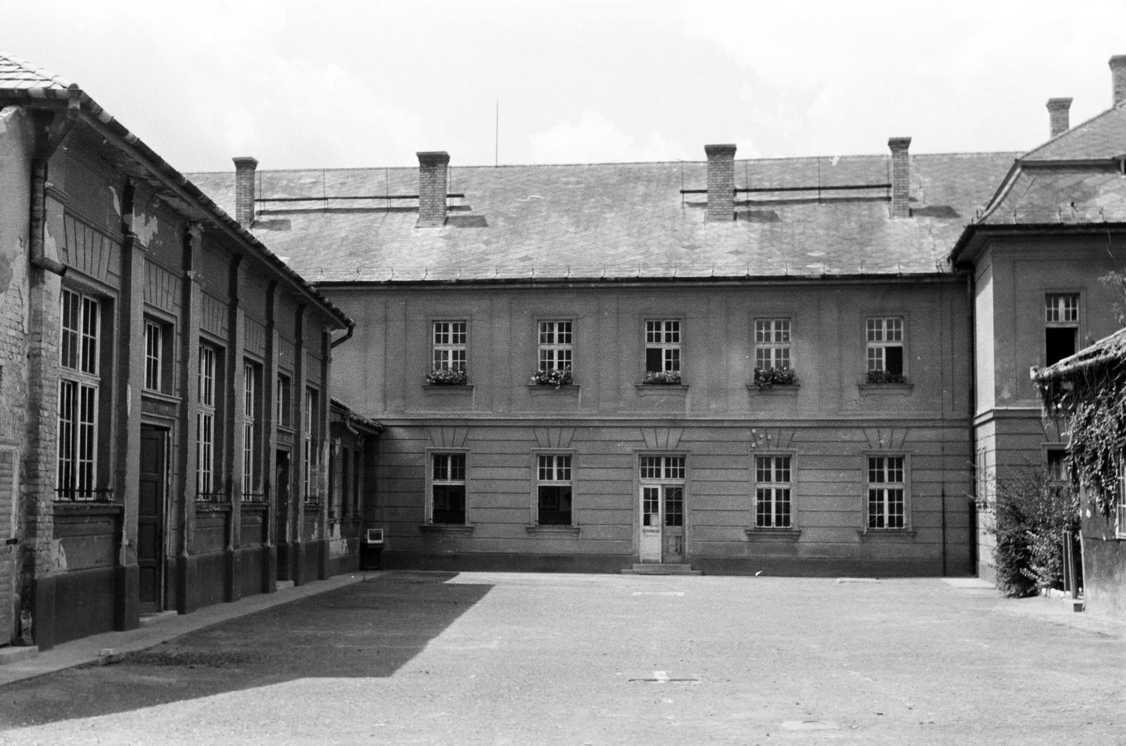 1948, Petrók Károly, Fortepan #312327