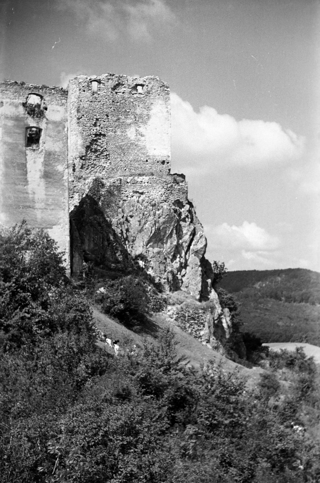 1949, Petrók Károly, Fortepan #312339