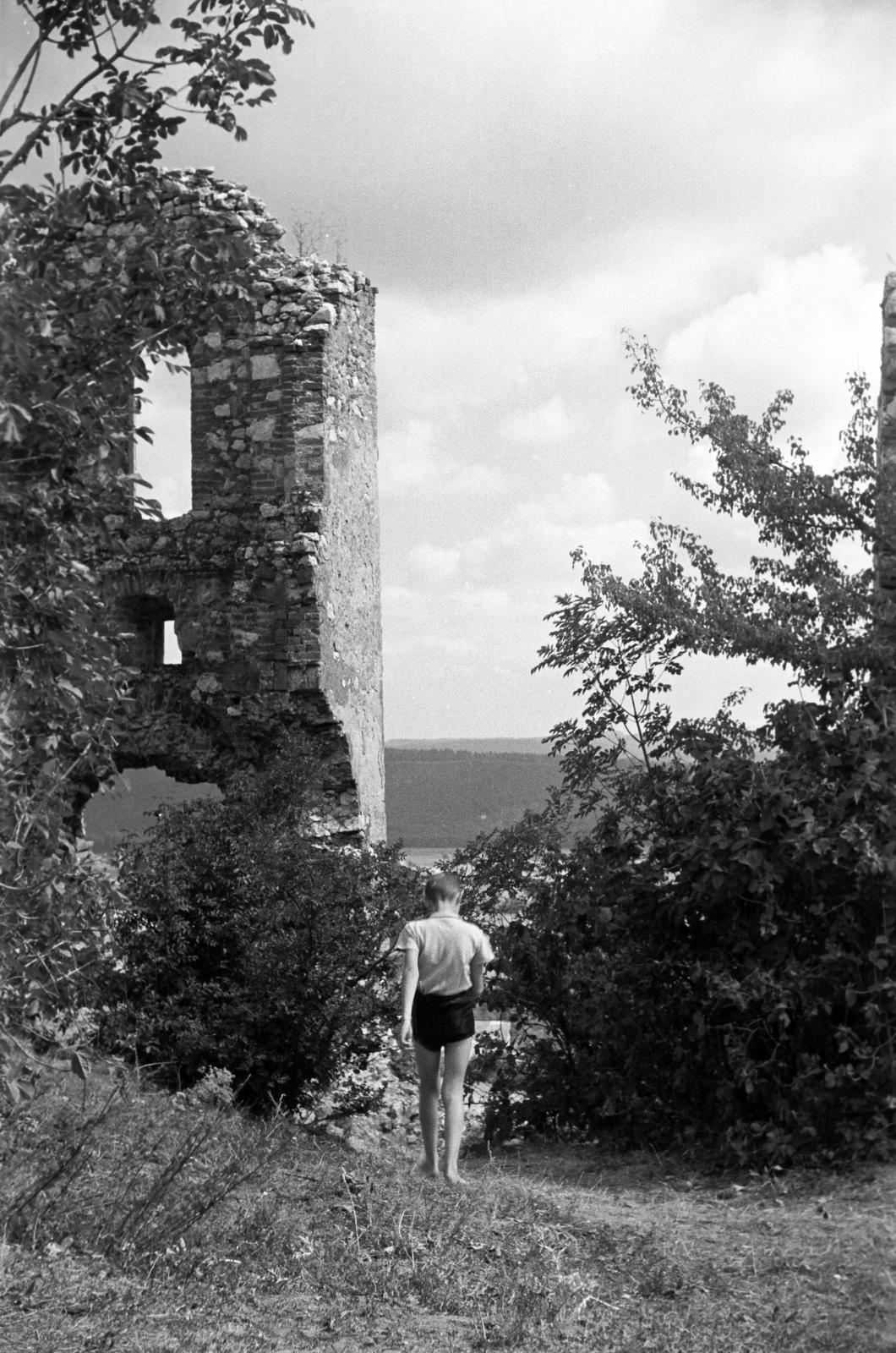 1949, Petrók Károly, Fortepan #312341