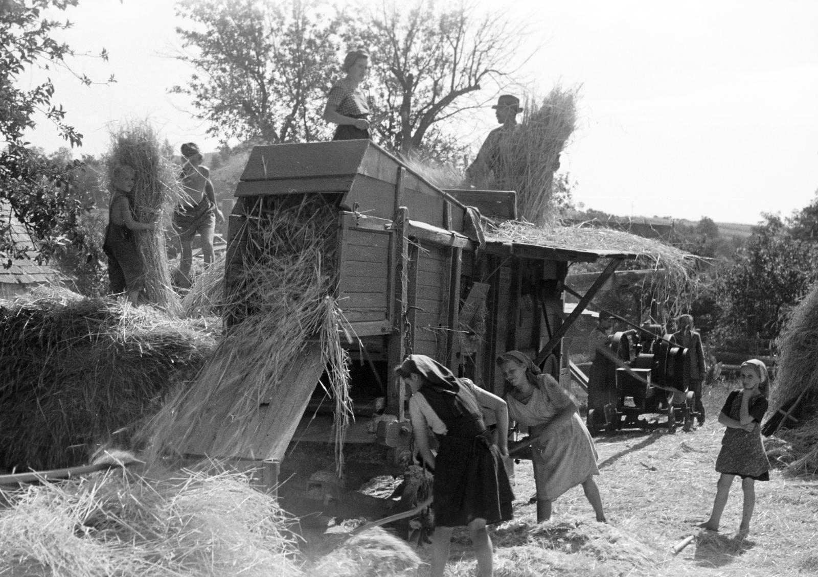 1949, Petrók Károly, Fortepan #312343