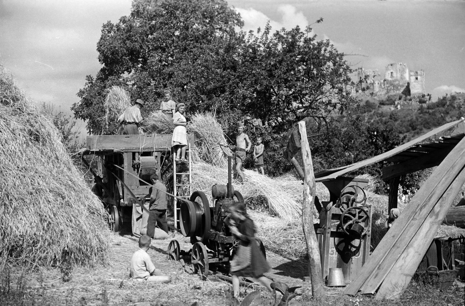 1949, Petrók Károly, Fortepan #312345