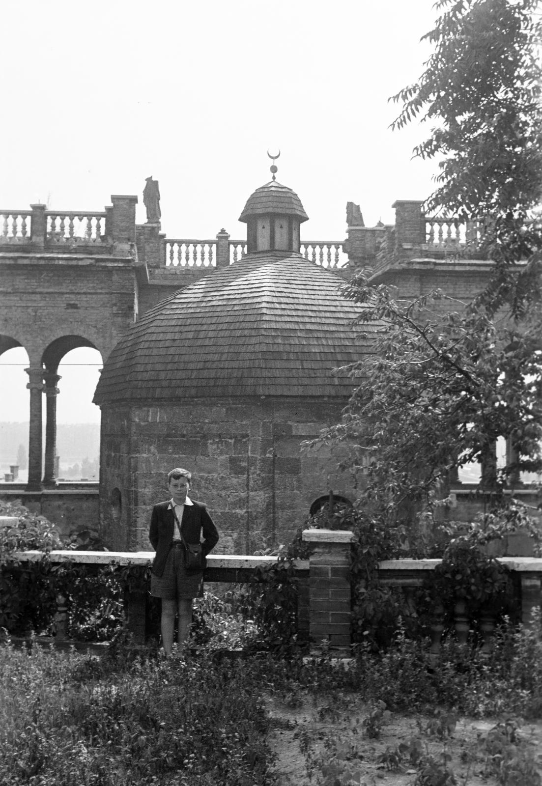 1949, Petrók Károly, Fortepan #312351