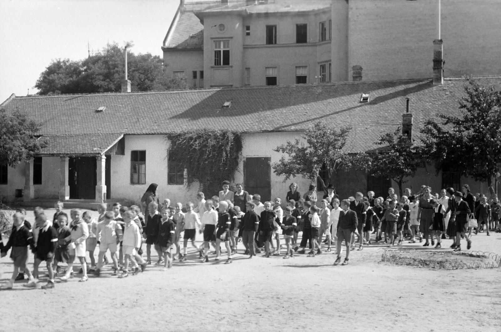 1947, Petrók Károly, Fortepan #312372