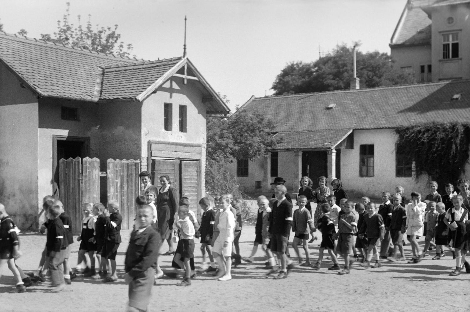 1947, Petrók Károly, Fortepan #312373