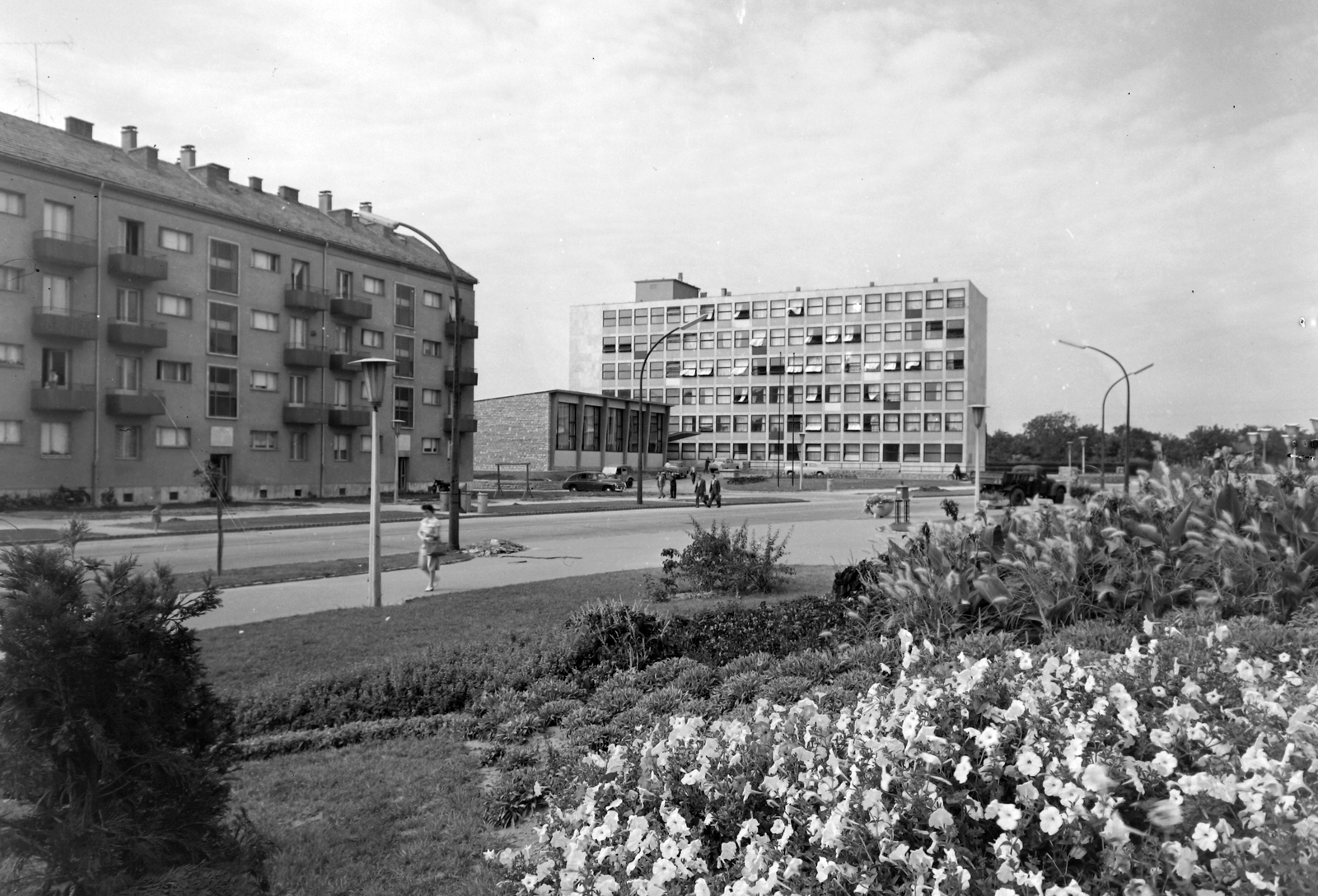 Hungary, Uránváros, Pécs, Esztergár Lajos utca (39-es dandár út), háttérben a Mecseki Ércbánya Vállalat irodaháza., 1966, Építésügyi Dokumentációs és Információs Központ, VÁTI, lamp post, flower carpet, Fortepan #31238