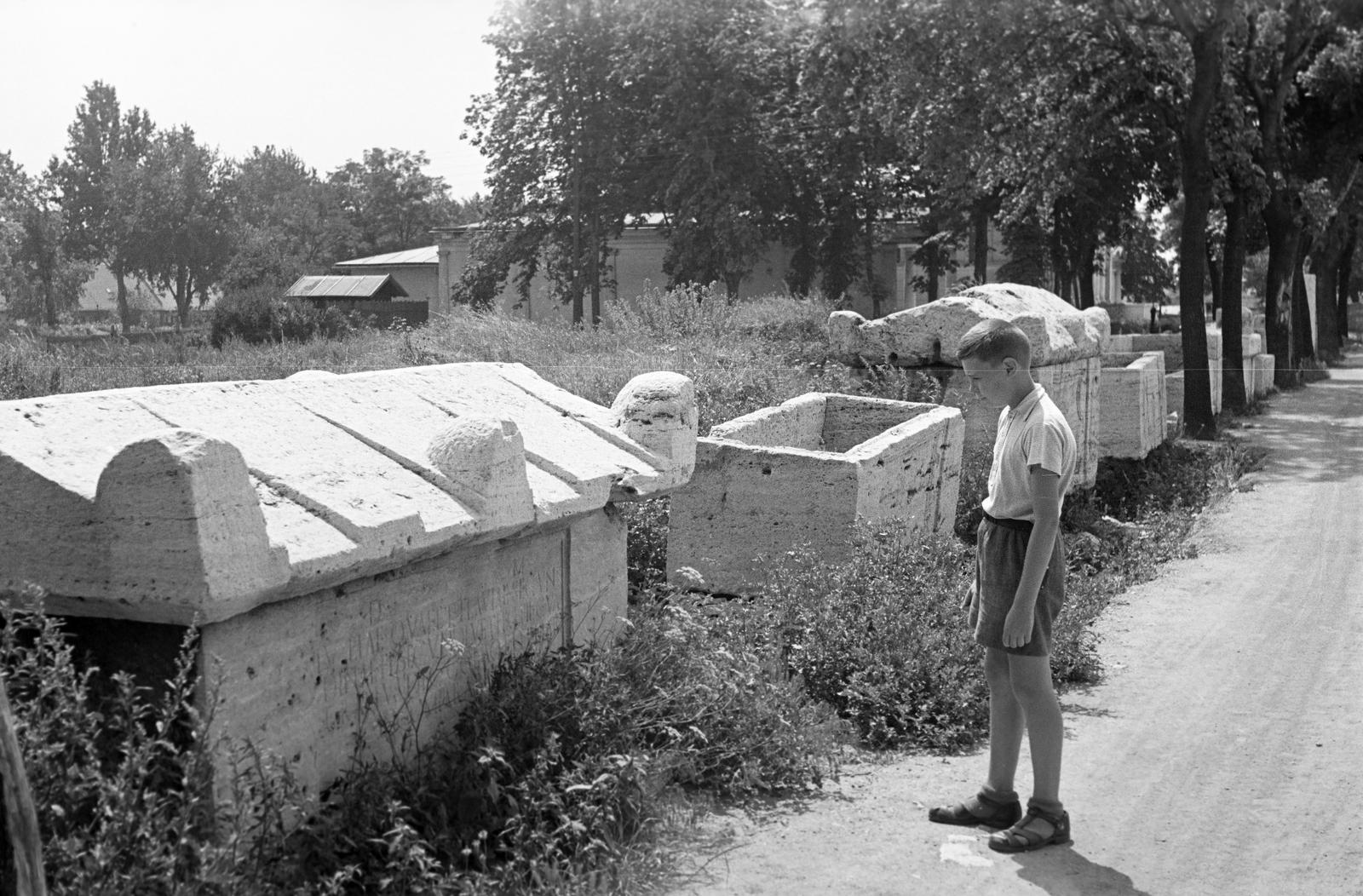 1947, Petrók Károly, Fortepan #312381