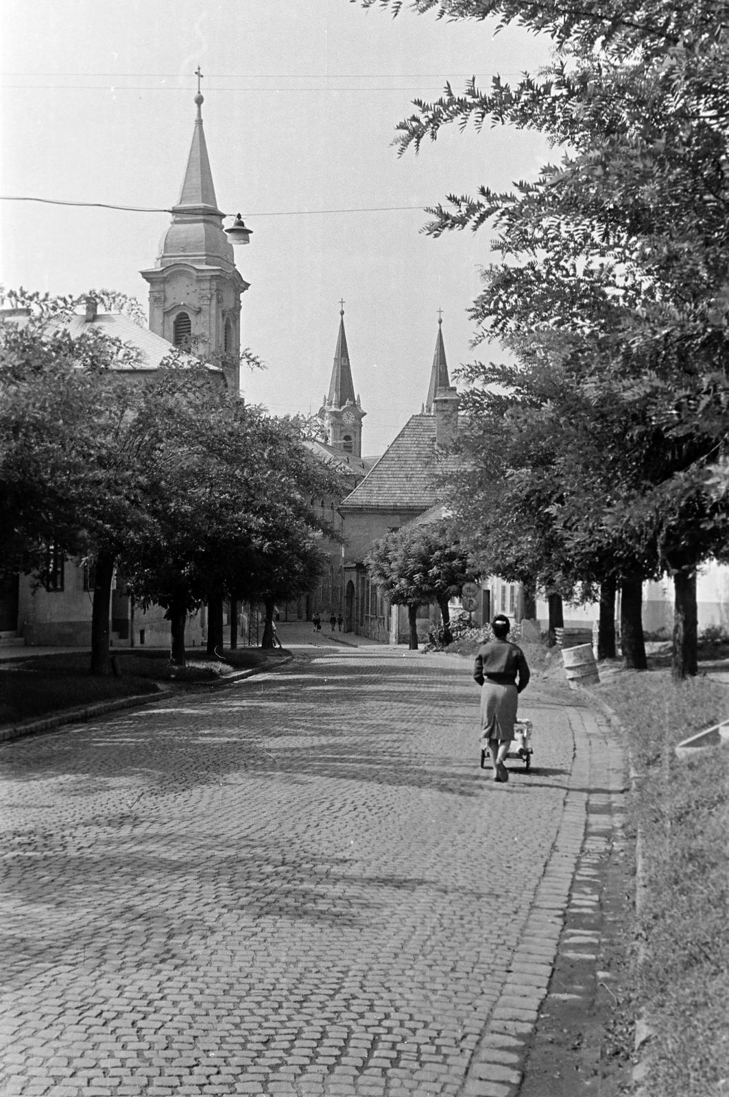 1962, Petrók Károly, Fortepan #312395