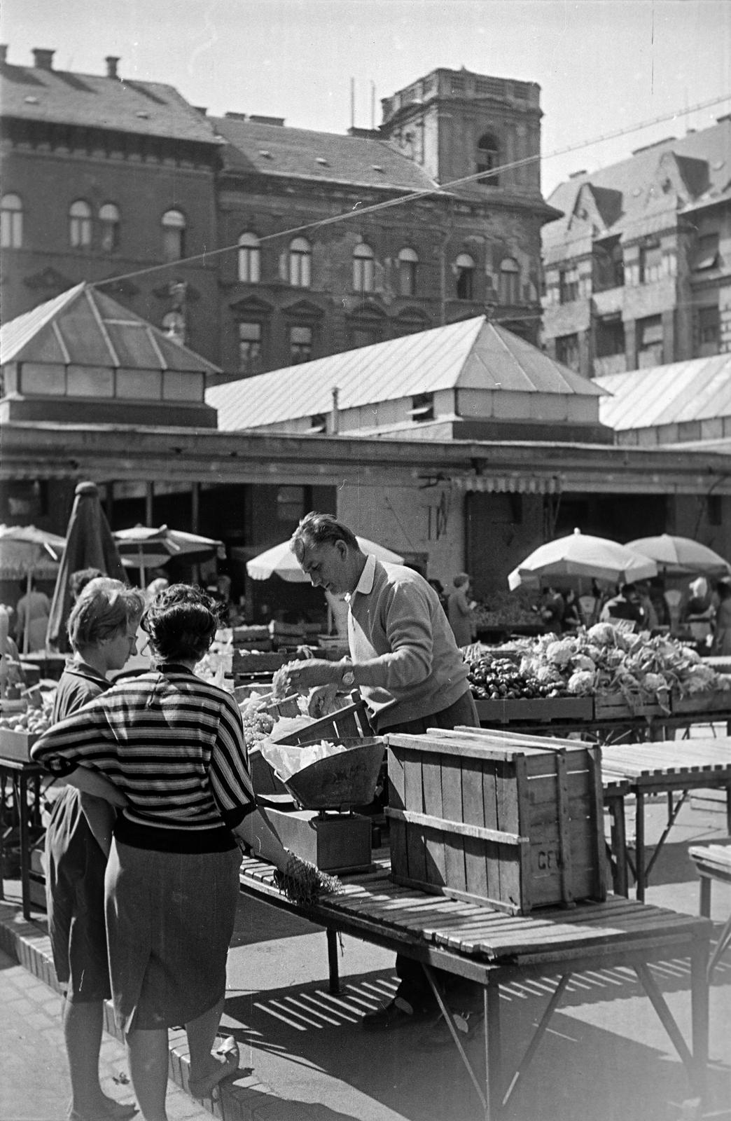 1962, Petrók Károly, Fortepan #312398