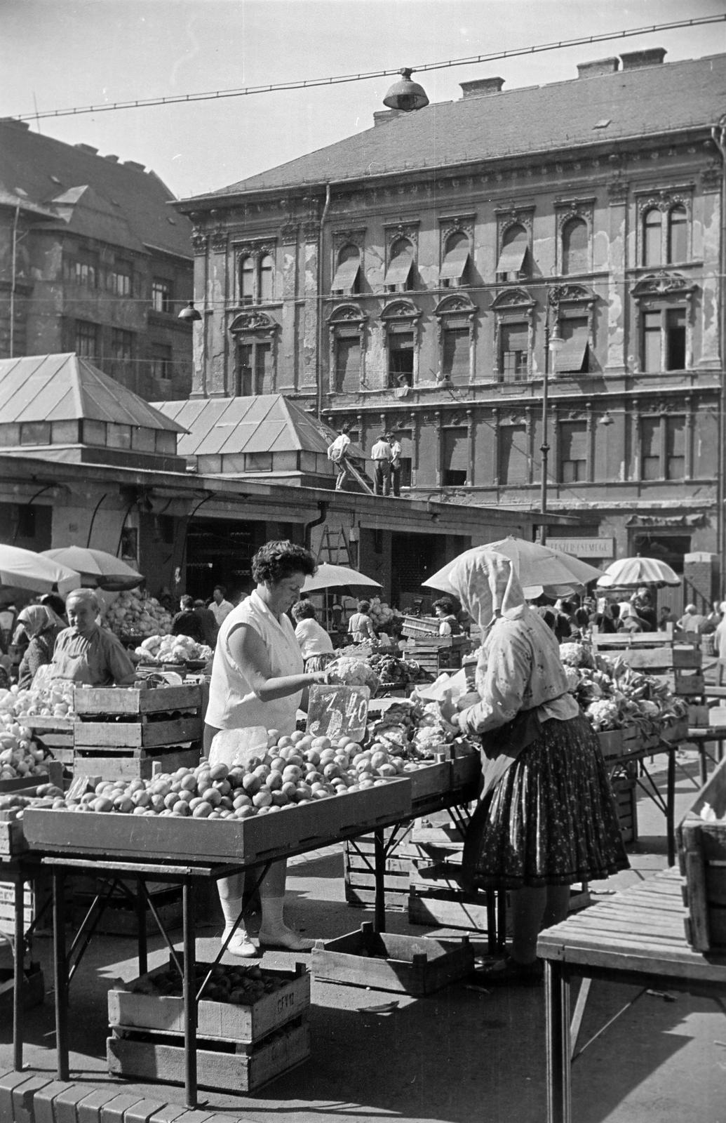 1962, Petrók Károly, Fortepan #312399