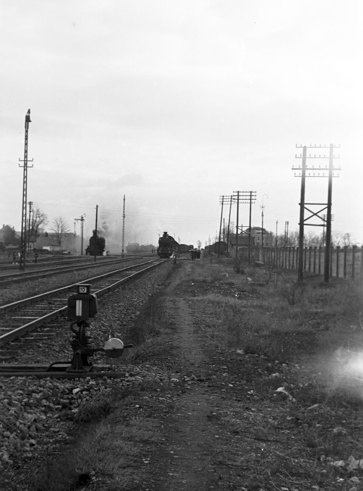 1955, Petrók Károly, Fortepan #312402