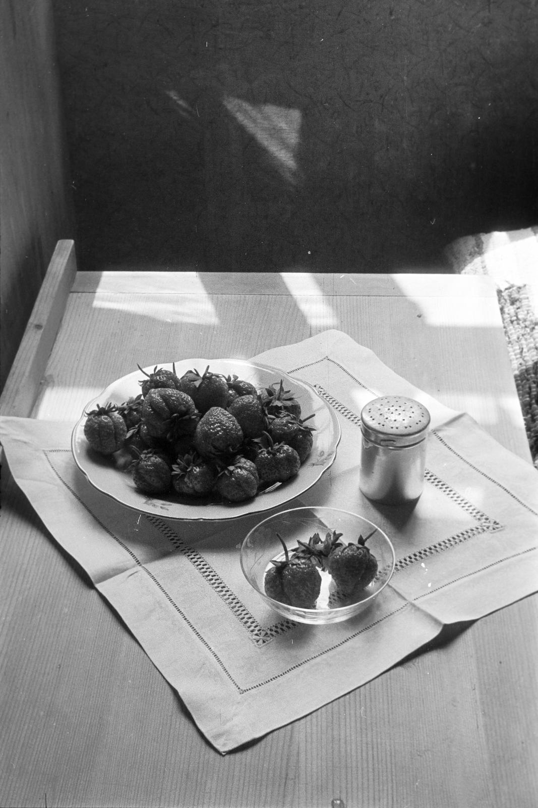 1955, Petrók Károly, Fortepan #312404