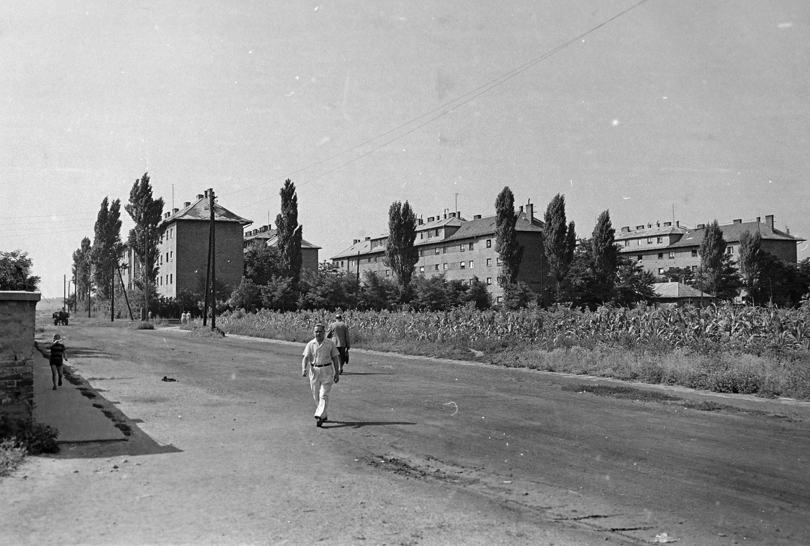 1958, Petrók Károly, Fortepan #312410